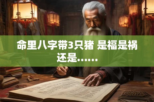命里八字带3只猪 是福是祸还是……