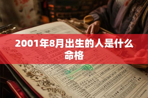 2001年8月出生的人是什么命格