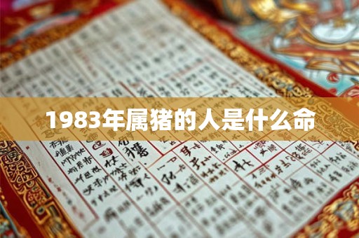 1983年属猪的人是什么命