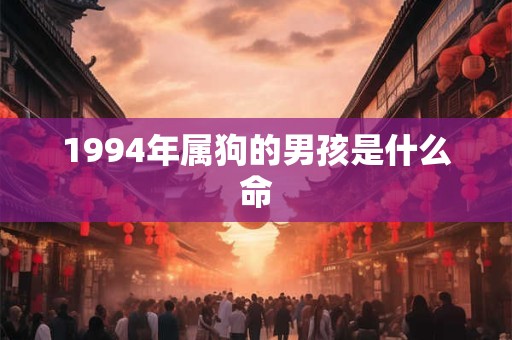 1994年属狗的男孩是什么命
