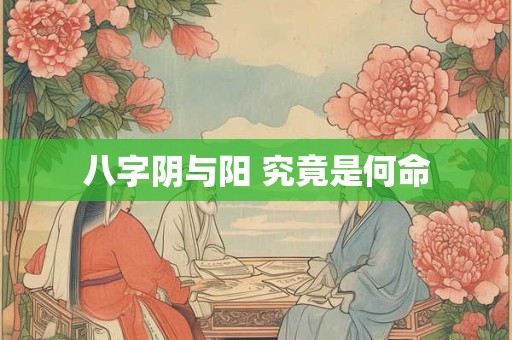 八字阴与阳 究竟是何命 八字阴与阳 究竟是何命