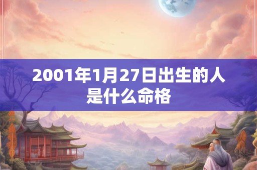 2001年1月27日出生的人是什么命格 2001年1月27日出生的人是什么命格