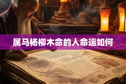 属马杨柳木命的人命运如何