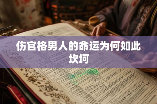 伤官格男人的命运为何如此坎坷