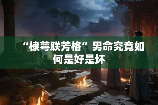 “棣萼联芳格”男命究竟如何是好是坏