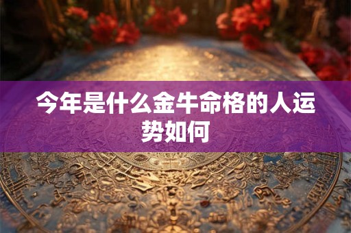 今年是什么金牛命格的人运势如何