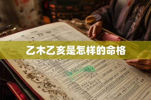 乙木乙亥是怎样的命格