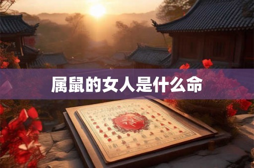 属鼠的女人是什么命