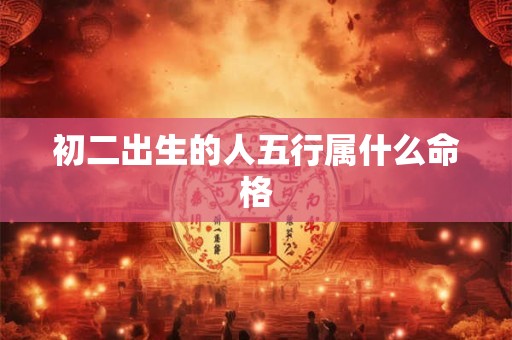 初二出生的人五行属什么命格