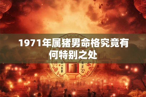 1971年属猪男命格究竟有何特别之处