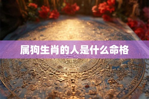 属狗生肖的人是什么命格
