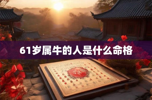 61岁属牛的人是什么命格
