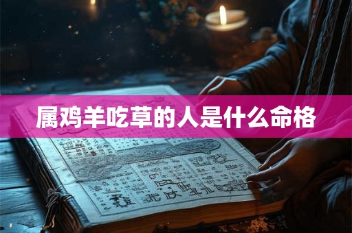 属鸡羊吃草的人是什么命格