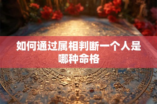 如何通过属相判断一个人是哪种命格