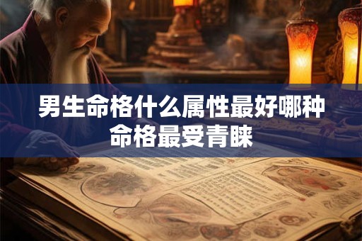 男生命格什么属性最好哪种命格最受青睐