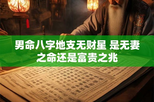 男命八字地支无财星 是无妻之命还是富贵之兆