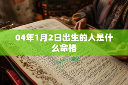 04年1月2日出生的人是什么命格