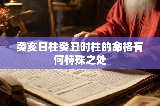 癸亥日柱癸丑时柱的命格有何特殊之处