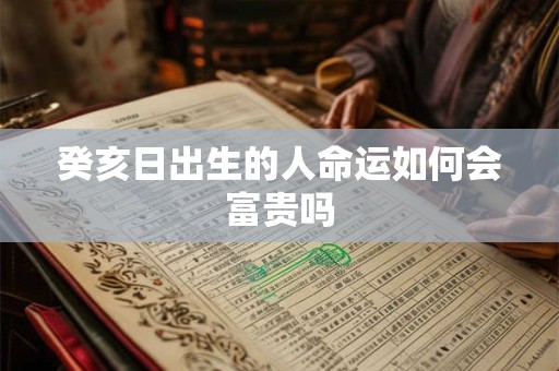 癸亥日出生的人命运如何会富贵吗