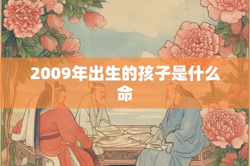 2009年出生的孩子是什么命