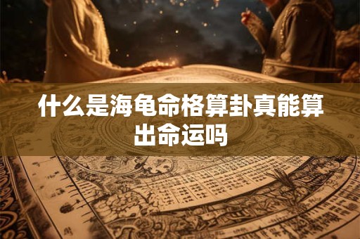 什么是海龟命格算卦真能算出命运吗