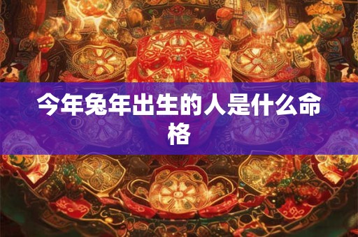 今年兔年出生的人是什么命格
