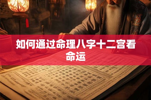如何通过命理八字十二宫看命运