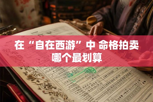 在“自在西游”中 命格拍卖哪个最划算 在“自在西游”中 命格拍卖哪个最划算