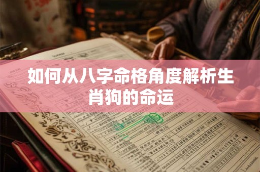 如何从八字命格角度解析生肖狗的命运