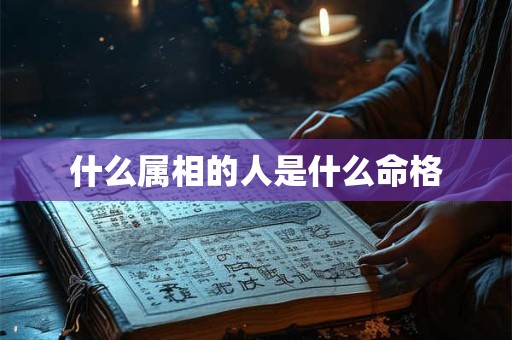 什么属相的人是什么命格
