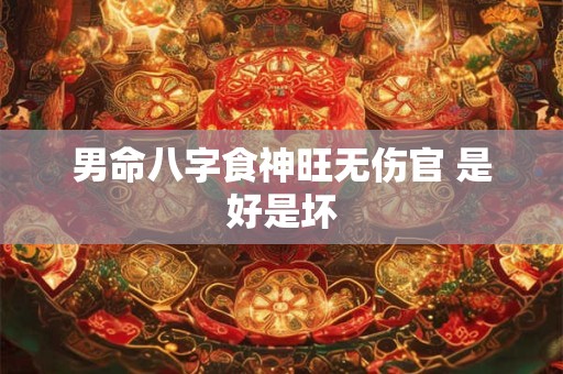男命八字食神旺无伤官 是好是坏