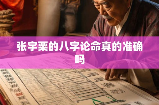 张宇粟的八字论命真的准确吗
