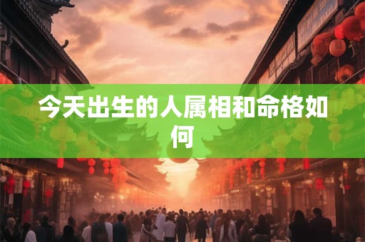 今天出生的人属相和命格如何