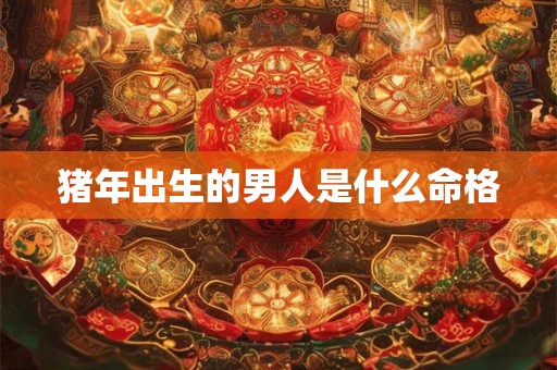 猪年出生的男人是什么命格