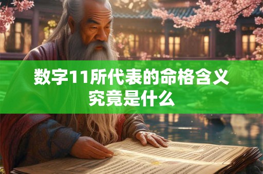 数字11所代表的命格含义究竟是什么