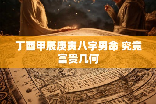 丁酉甲辰庚寅八字男命 究竟富贵几何
