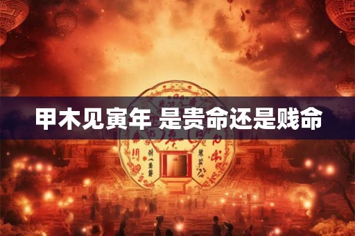 甲木见寅年 是贵命还是贱命