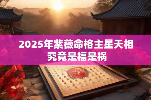 2025年紫薇命格主星天相 究竟是福是祸