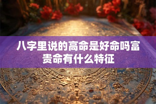 八字里说的高命是好命吗富贵命有什么特征