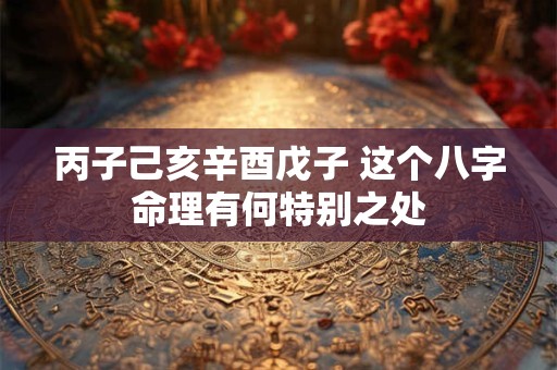 丙子己亥辛酉戊子 这个八字命理有何特别之处