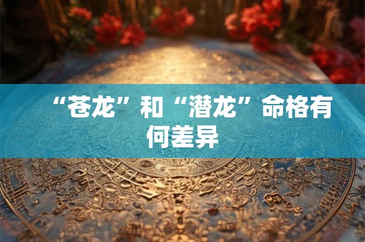 “苍龙”和“潜龙”命格有何差异