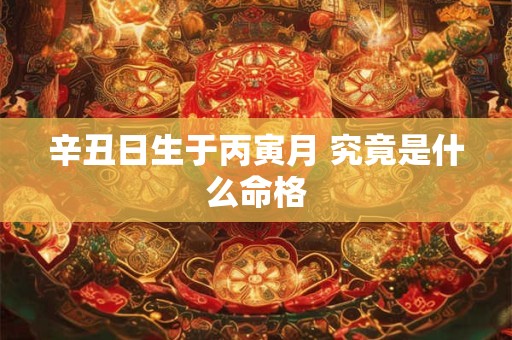 辛丑日生于丙寅月 究竟是什么命格