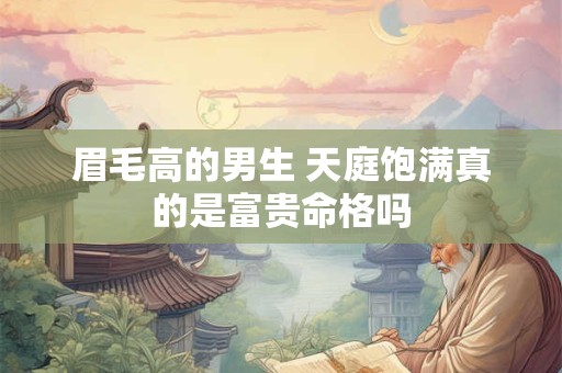 眉毛高的男生 天庭饱满真的是富贵命格吗