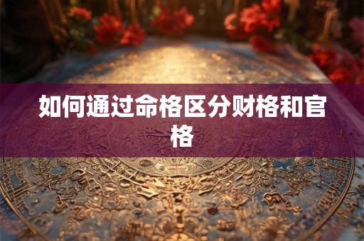 如何通过命格区分财格和官格