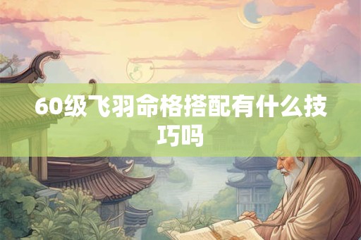 60级飞羽命格搭配有什么技巧吗