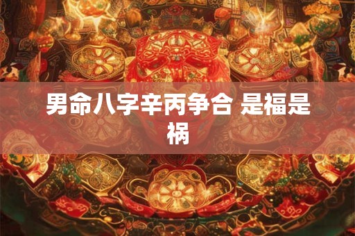 男命八字辛丙争合 是福是祸