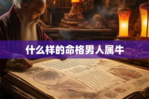 什么样的命格男人属牛