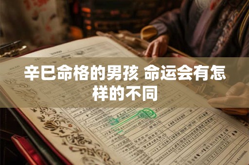 辛巳命格的男孩 命运会有怎样的不同