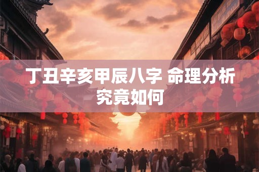 丁丑辛亥甲辰八字 命理分析究竟如何