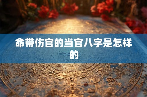 命带伤官的当官八字是怎样的